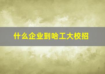 什么企业到哈工大校招