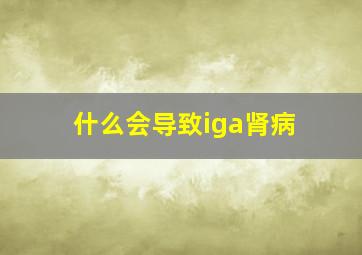 什么会导致iga肾病