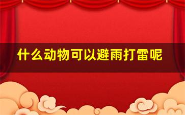 什么动物可以避雨打雷呢