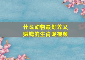 什么动物最好养又赚钱的生肖呢视频