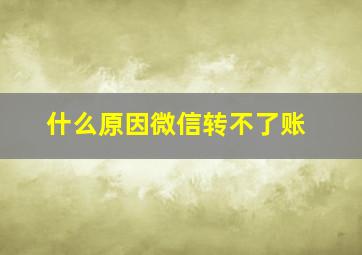 什么原因微信转不了账