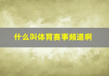 什么叫体育赛事频道啊