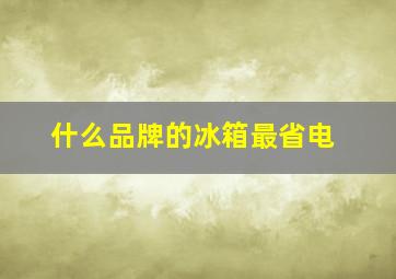 什么品牌的冰箱最省电