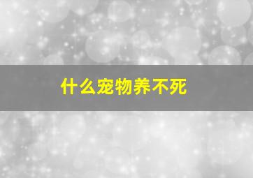 什么宠物养不死