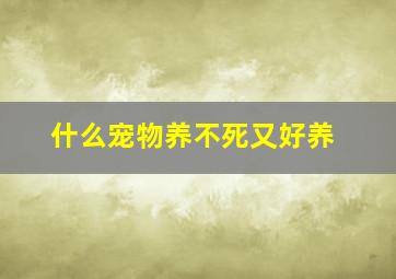 什么宠物养不死又好养