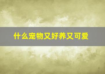 什么宠物又好养又可爱