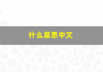 什么意思中文