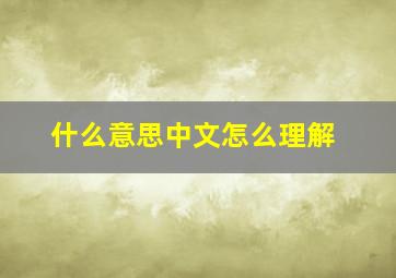 什么意思中文怎么理解