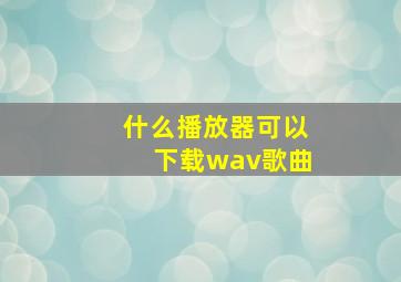 什么播放器可以下载wav歌曲