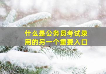 什么是公务员考试录用的另一个重要入口