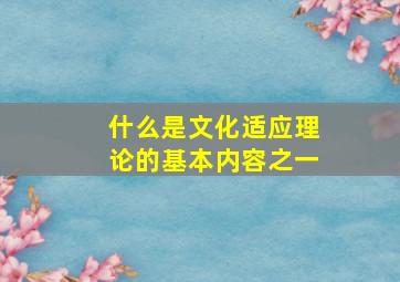 什么是文化适应理论的基本内容之一