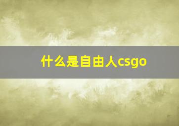 什么是自由人csgo