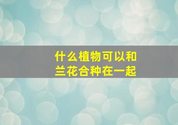 什么植物可以和兰花合种在一起