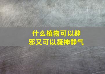 什么植物可以辟邪又可以凝神静气