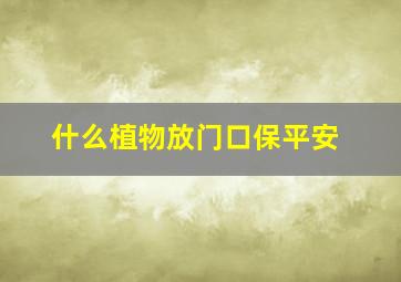 什么植物放门口保平安