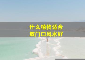 什么植物适合放门口风水好