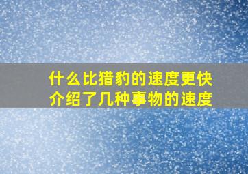 什么比猎豹的速度更快介绍了几种事物的速度