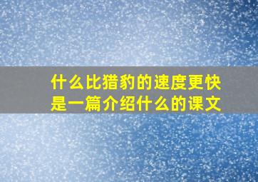 什么比猎豹的速度更快是一篇介绍什么的课文