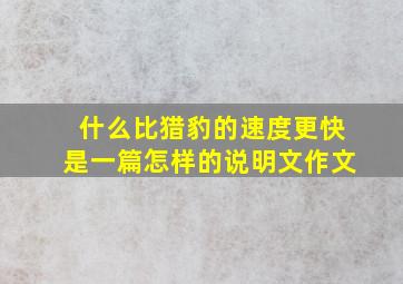 什么比猎豹的速度更快是一篇怎样的说明文作文