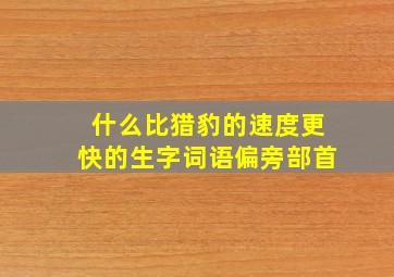 什么比猎豹的速度更快的生字词语偏旁部首