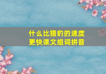 什么比猎豹的速度更快课文组词拼音