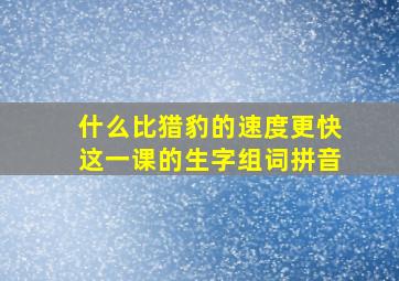 什么比猎豹的速度更快这一课的生字组词拼音