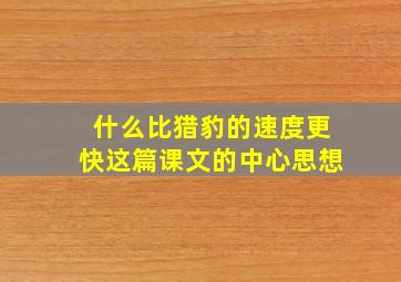 什么比猎豹的速度更快这篇课文的中心思想