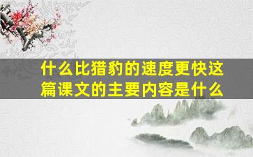 什么比猎豹的速度更快这篇课文的主要内容是什么