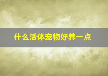 什么活体宠物好养一点