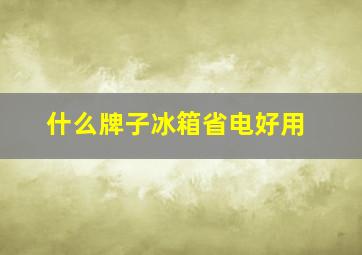 什么牌子冰箱省电好用