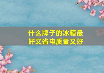 什么牌子的冰箱最好又省电质量又好