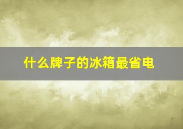 什么牌子的冰箱最省电