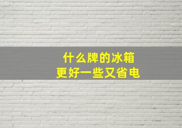 什么牌的冰箱更好一些又省电