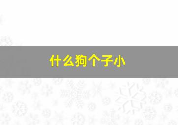 什么狗个子小