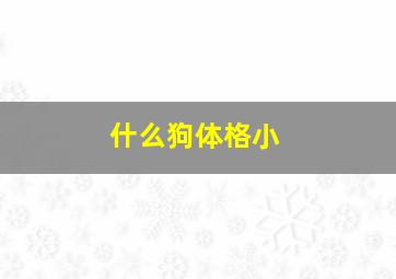 什么狗体格小