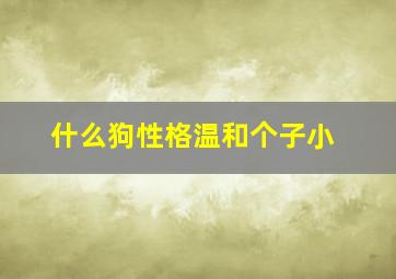 什么狗性格温和个子小