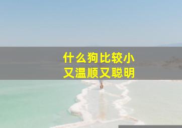 什么狗比较小又温顺又聪明