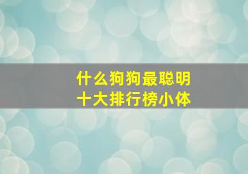 什么狗狗最聪明十大排行榜小体