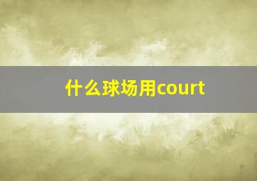 什么球场用court