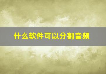 什么软件可以分割音频