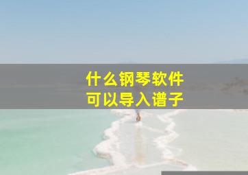 什么钢琴软件可以导入谱子