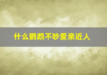 什么鹦鹉不吵爱亲近人