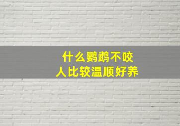 什么鹦鹉不咬人比较温顺好养