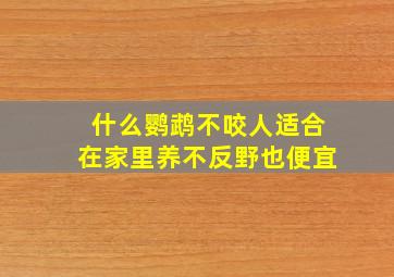 什么鹦鹉不咬人适合在家里养不反野也便宜