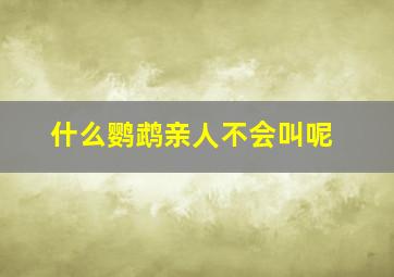 什么鹦鹉亲人不会叫呢