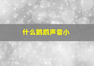 什么鹦鹉声音小