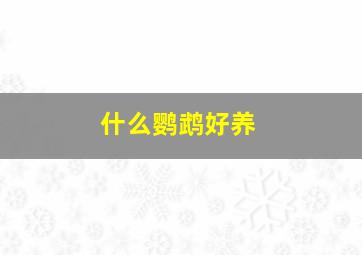 什么鹦鹉好养