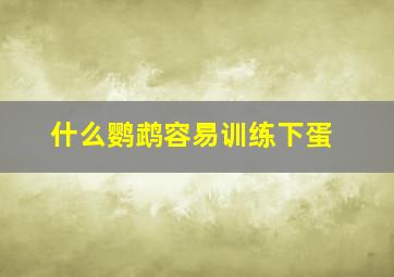 什么鹦鹉容易训练下蛋