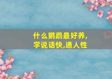 什么鹦鹉最好养,学说话快,通人性