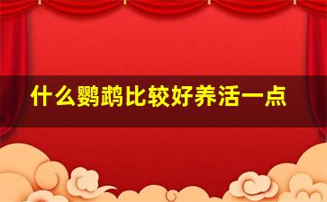 什么鹦鹉比较好养活一点